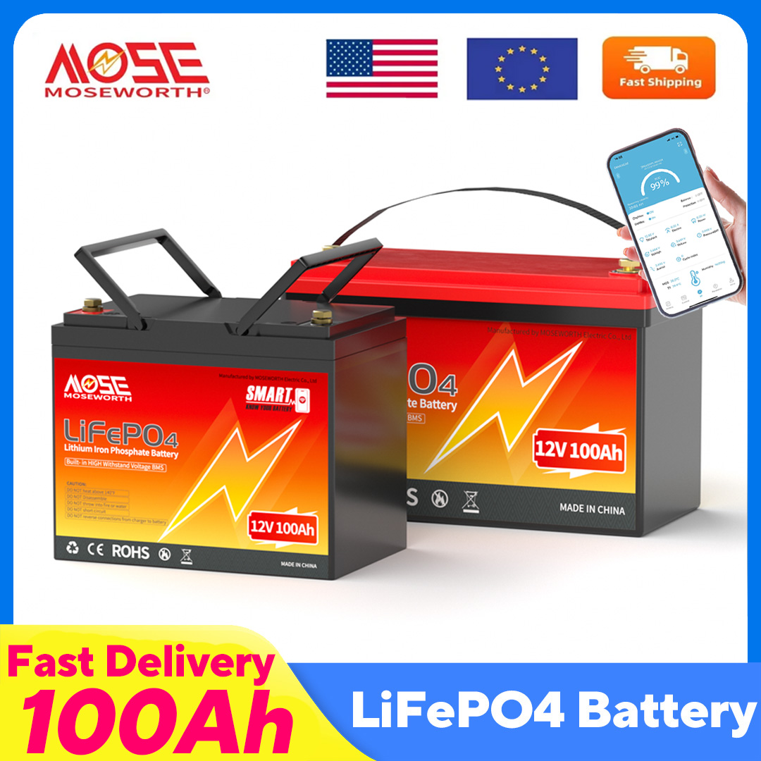 MOSEWORTH LiFePO4 12V 100Ah ba - Lifepo4 12V 100Ah Bms Bluetooth avis et prix